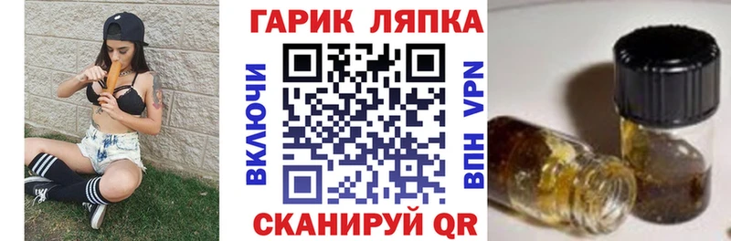 Купить закладки  Мичуринск  Гашиш Premium 