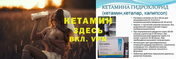 дмт Богданович