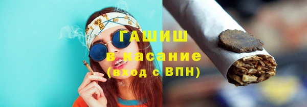 дмт Богданович