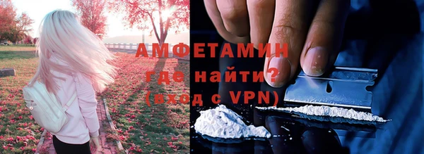 дмт Богданович