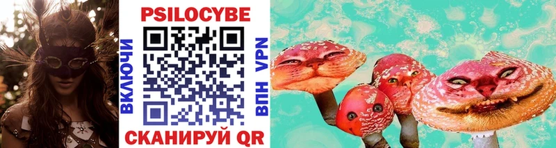 Псилоцибиновые грибы Psilocybe  Купить  Мичуринск 